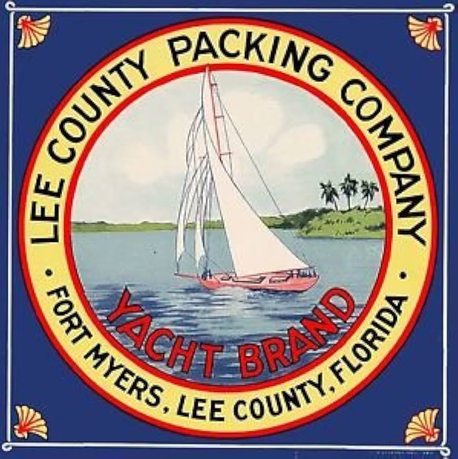 Mulberry Tree Lee County Packing Shirt style mtlcp