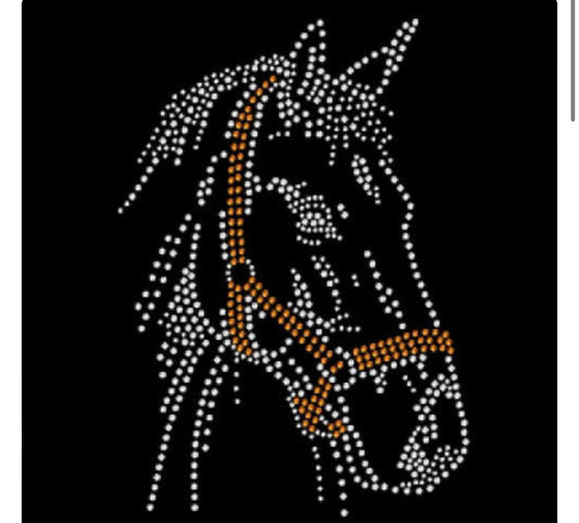 Keep Your Shine Horse Rhinestone Shirt Style Kyshorse