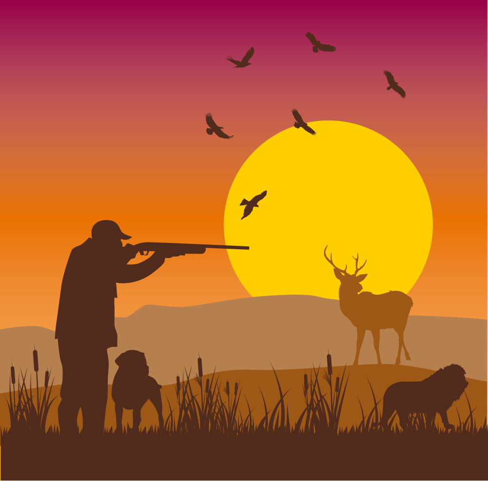 Down South Deer Hunt at Sunset