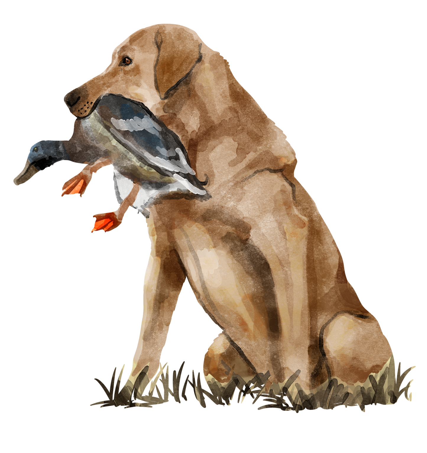 Down South Dog With Duck